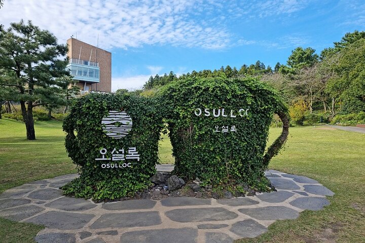 Jeju Customized Private Car Tour