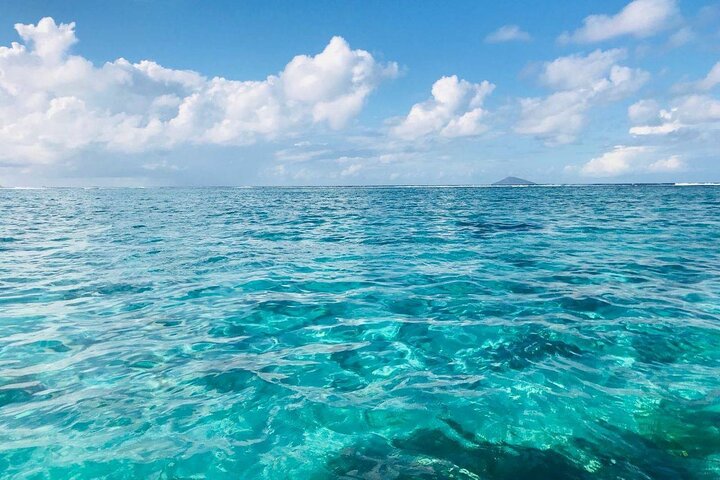 Mauritius Ile Aux Cerfs Catamaran Tour with Lunch and Drinks