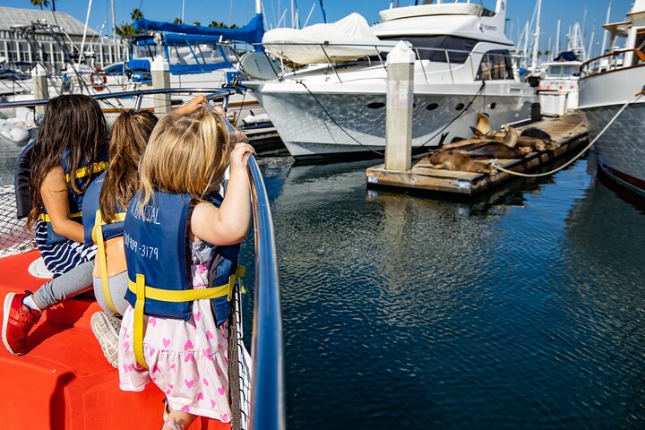 Glass Bottom Boat Ride in Redondo Beach
