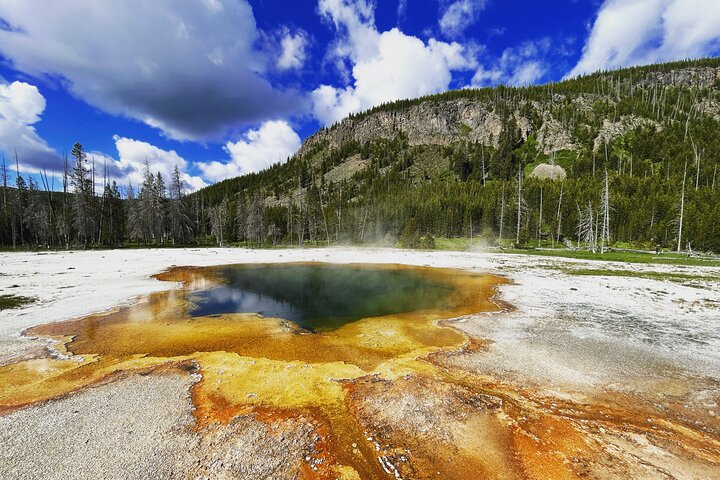 Best in the West Yellowstone Private Tour
