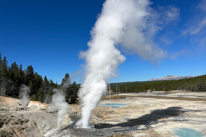 Best in the West Yellowstone Private Tour