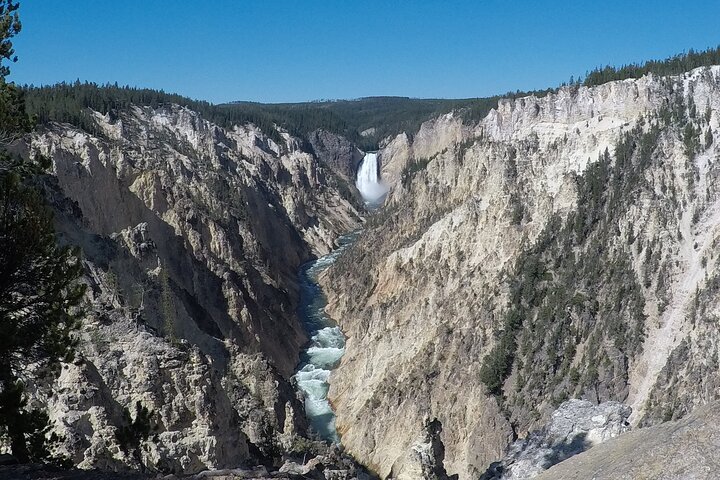 Yellowstone Full Day Private Tour Starting from Jackson Hole