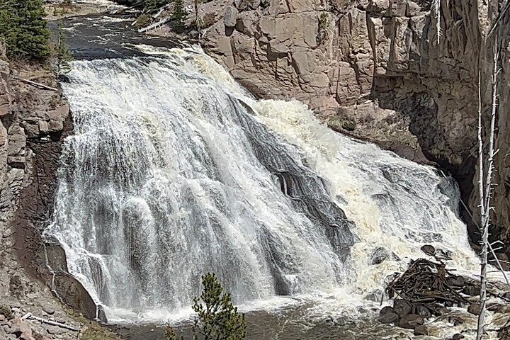 Yellowstone Full Day Private Tour Starting from Jackson Hole