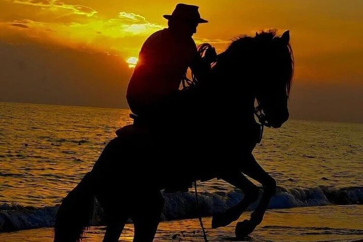 Horse Riding in Manavgat Side Forest and Beach