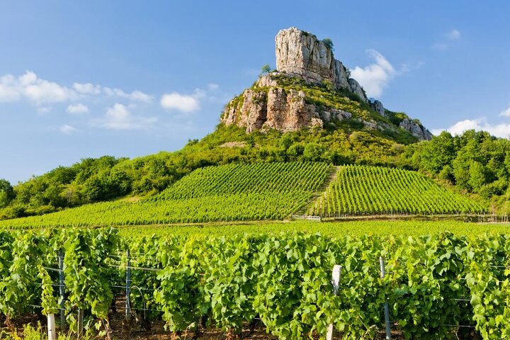Full Day Private Vintage Land Rover Tour of Beaujolais & Burgundy