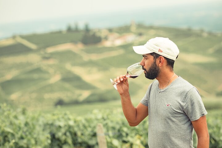 Private Half Day Wine Tour from Lyon in Beaujolais