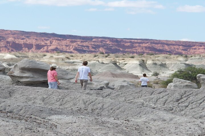 Journey to Ischigualasto: Discovering the Valley of the Moon