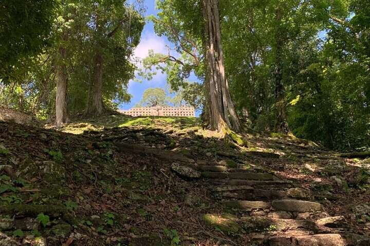 Bonampak & Yaxchilan: Hidden Maya Ruins in the Chiapas Jungle