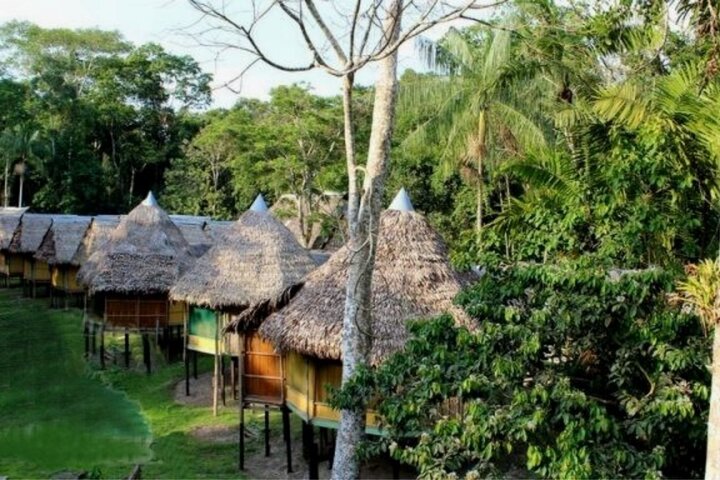 Amazing Jungle 3Days 2Nights - Amazon Wonder Expeditions