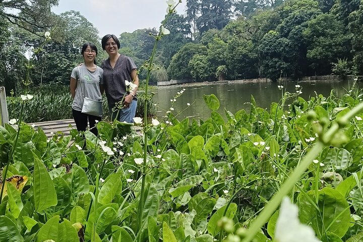 Jakarta Bogor Botanical Garden, Waterfall and Rice terrace, Lunch