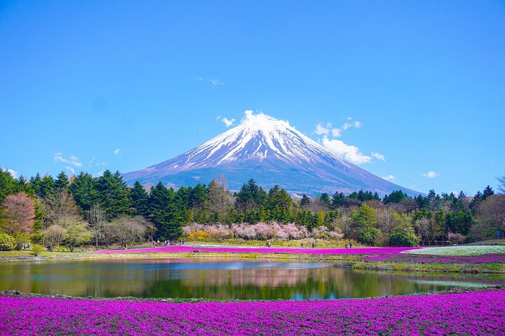 Tokyo: Customized Mt. Fuji & Hakone Sightseeing Private Day Trip