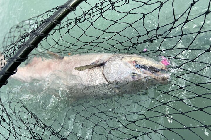 Half day Alaska Salmon Fishing on the Kenai Peninsula
