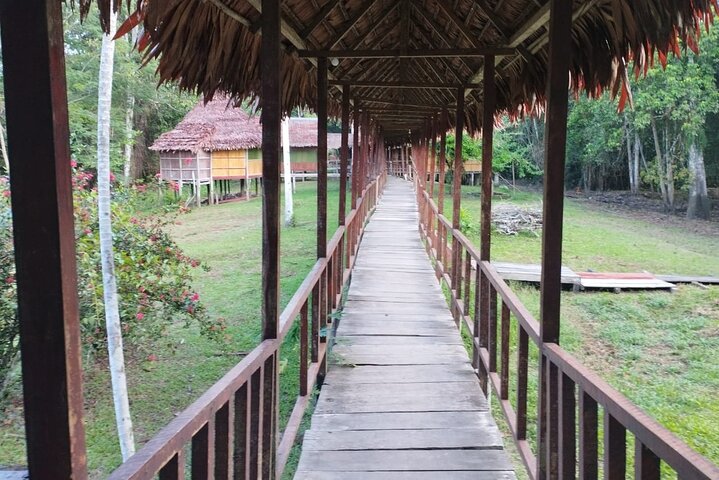 Amazing Jungle 3Days 2Nights - Amazon Wonder Expeditions