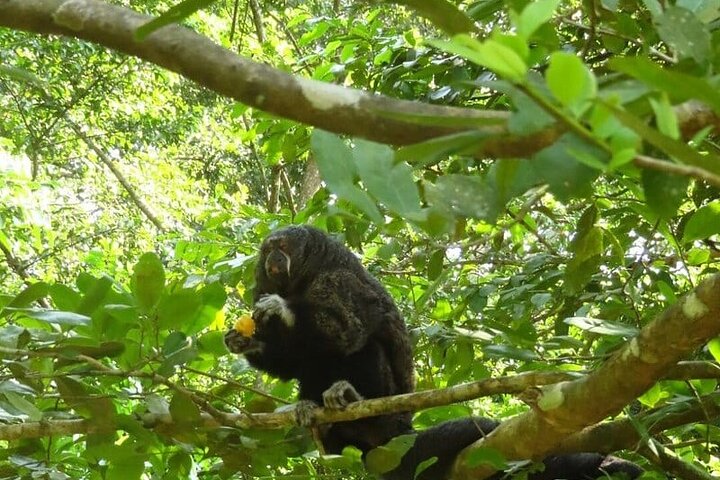 Amazing Jungle 3Days 2Nights - Amazon Wonder Expeditions