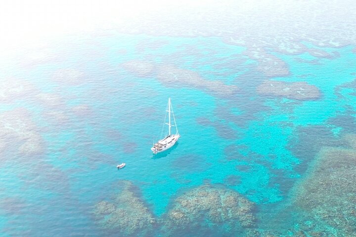 Major Tom -Sailing Day Cruise, with Snorkeling, Lunch & More!