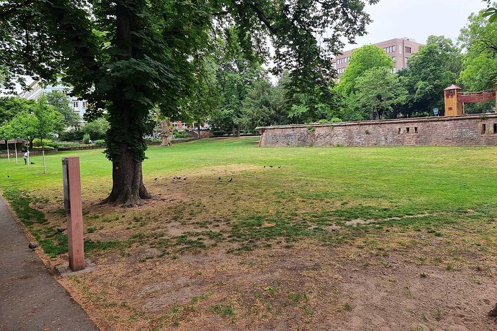 Audiobook City Rally in Mannheim's Old Town