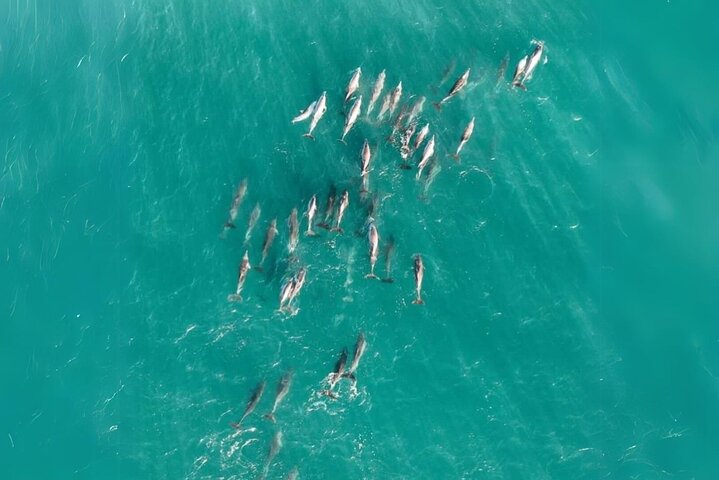 Stradbroke Island Eco Day Trip from Brisbane – Wildlife & Beaches