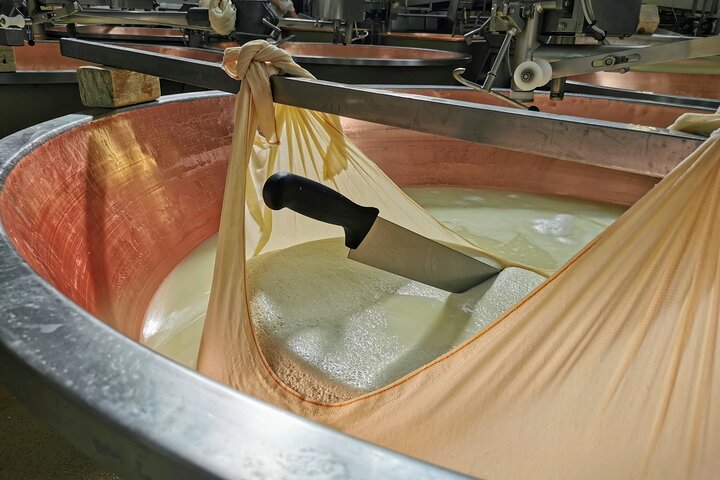 Parmigiano, Prosciutto and Traditional balsamic Tour from Bologna