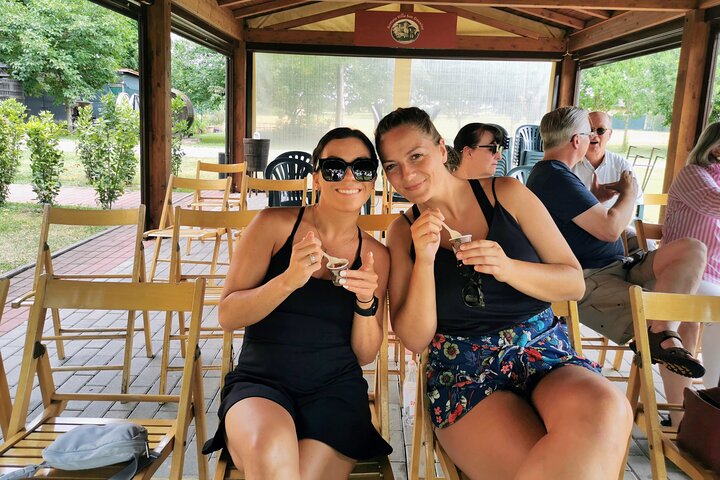 Parmigiano, Prosciutto and Traditional balsamic Tour from Bologna