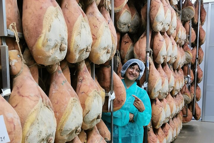 Parmigiano, Prosciutto and Traditional balsamic Tour from Bologna