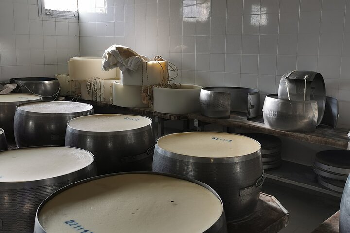 Parmigiano, Prosciutto and Traditional balsamic Tour from Bologna