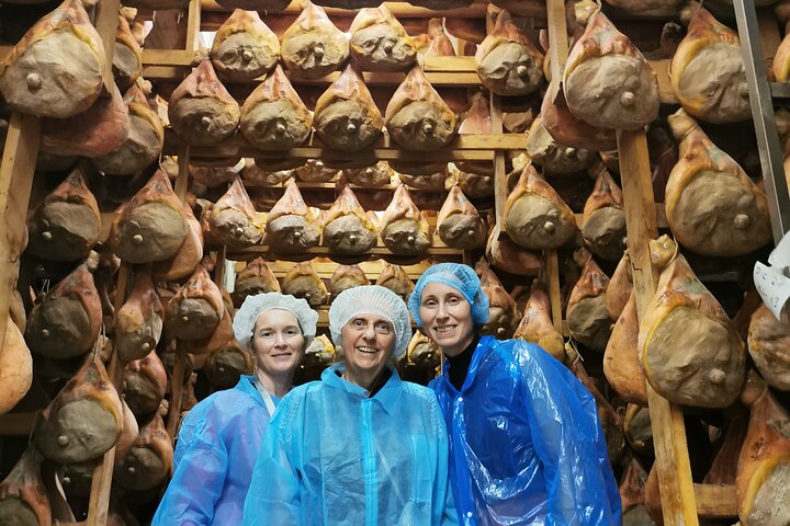 Parmigiano, Prosciutto and Traditional balsamic Tour from Bologna