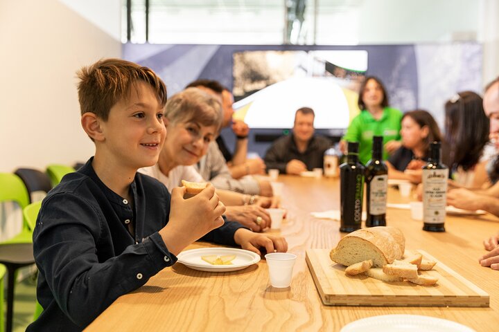 San Gimignano oil mill experience and oil tasting