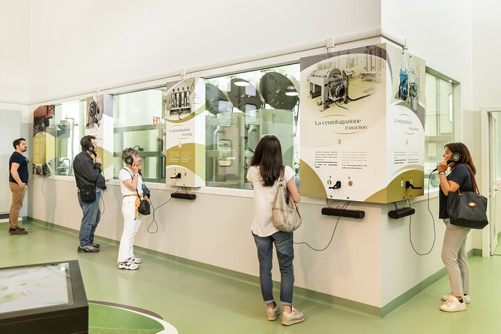 San Gimignano oil mill experience and oil tasting