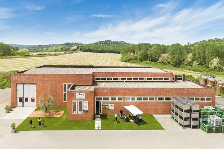 San Gimignano oil mill experience and oil tasting