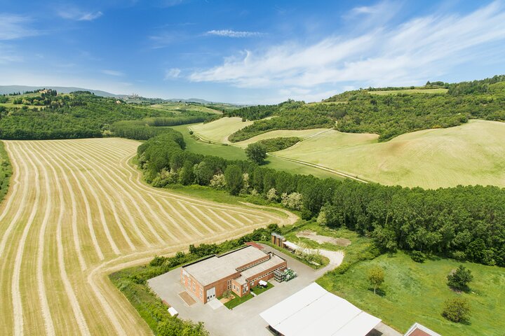 San Gimignano oil mill experience and oil tasting