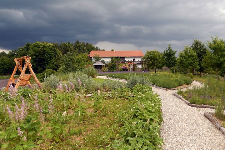 Private Aroma-Tasting Experience in Vida′s Garden, Maribor