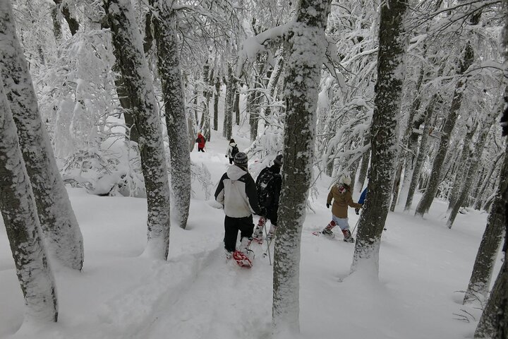 Discover Colorado Volcano: Guided Adventure