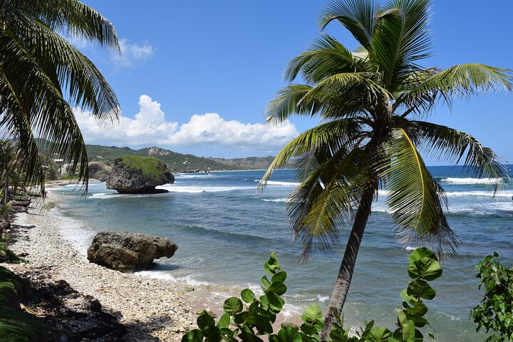 Barbados Highlights and Rum Tour