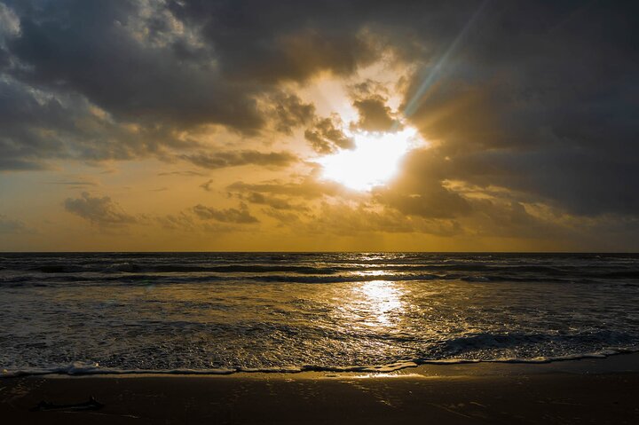 Tortuguero : Spawning Tour + Canoe Tour + Night Jungle Tour