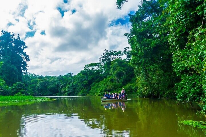 Tortuguero : Spawning Tour + Canoe Tour + Night Jungle Tour