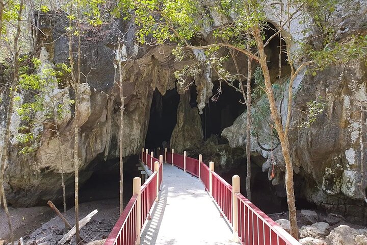 Langkawi UNESCO Kilim Geopark Mangrove & Bat Cave Tour