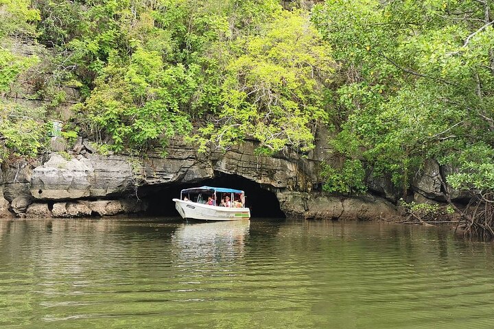 Langkawi UNESCO Kilim Geopark Mangrove & Bat Cave Tour