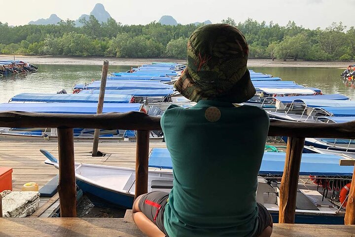 Langkawi UNESCO Kilim Geopark Mangrove & Bat Cave Tour