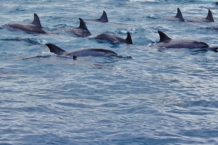 Full Day at Ile Des Deux Cocos