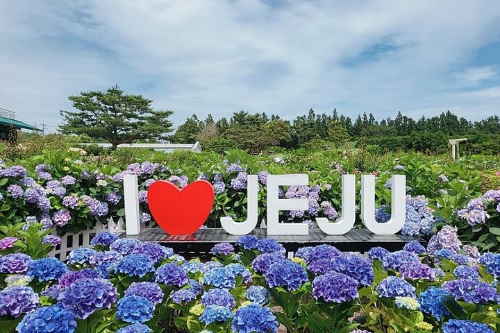 Jeju Island Popular Sightseeing Private Car Charter Tour 5/9hours