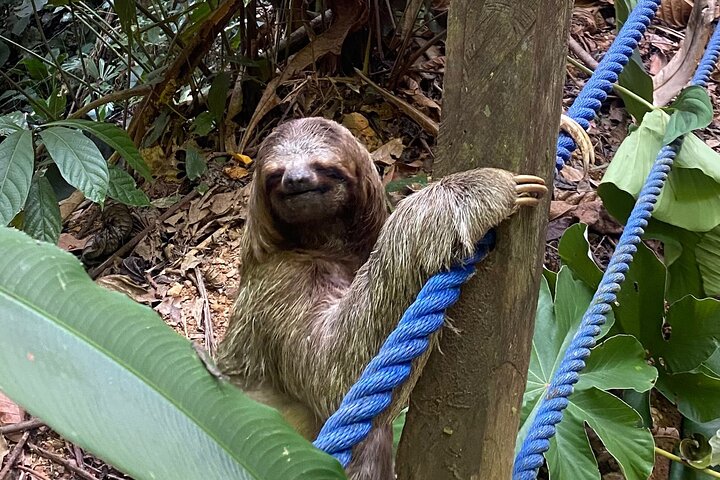 Nauyaca Waterfall Adventure -All-Inclusive Full Day tour
