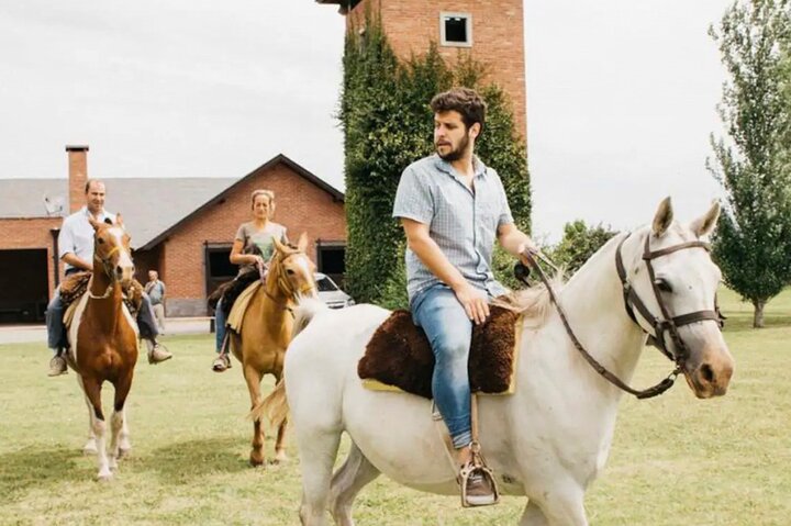 Horses Asado and Nature a day in a Thoroughbred Farm