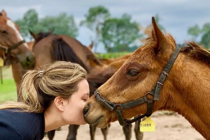 Horses Asado and Nature a day in a Thoroughbred Farm