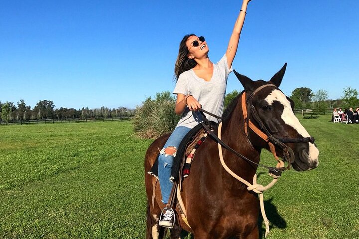 Horses Asado and Nature a day in a Thoroughbred Farm