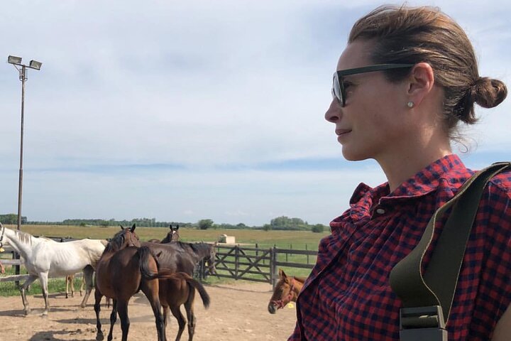 Horses Asado and Nature a day in a Thoroughbred Farm
