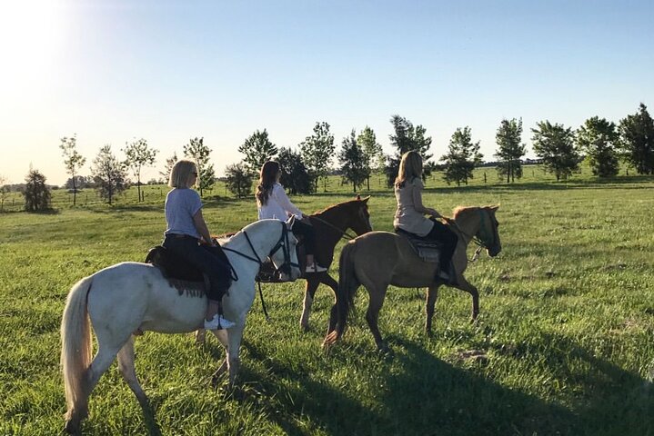 Horses Asado and Nature a day in a Thoroughbred Farm