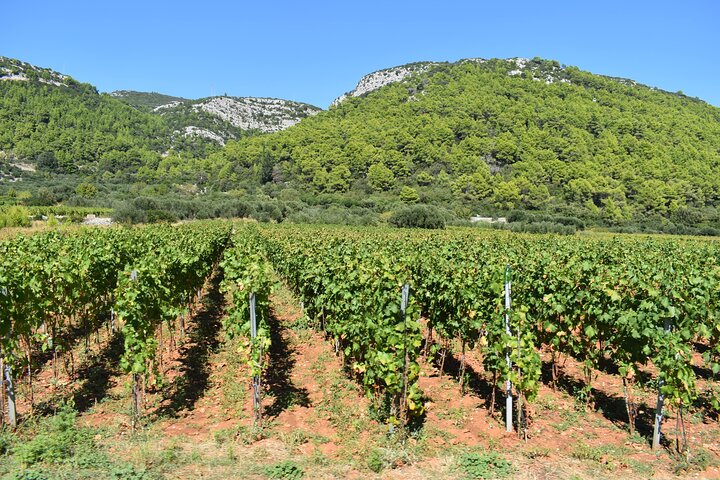 Korcula Wine and Sightseeing Tour Views Tastings and Stories