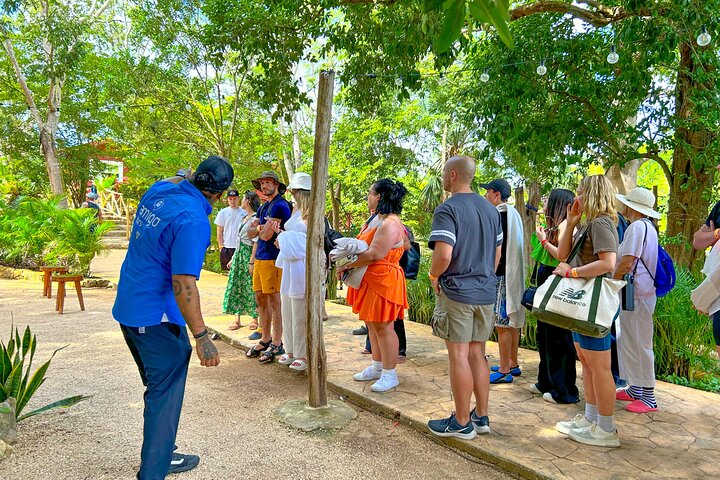 Chichen Itza, Valladolid & Cenote Private Tour with Buffet Lunch