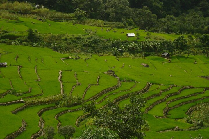 4 Day Tour at Nagaland Dzukou Valley