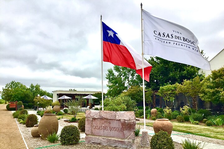 Taste 10 Types of Wine in 3 exclusive Casablanca’s Vineyard